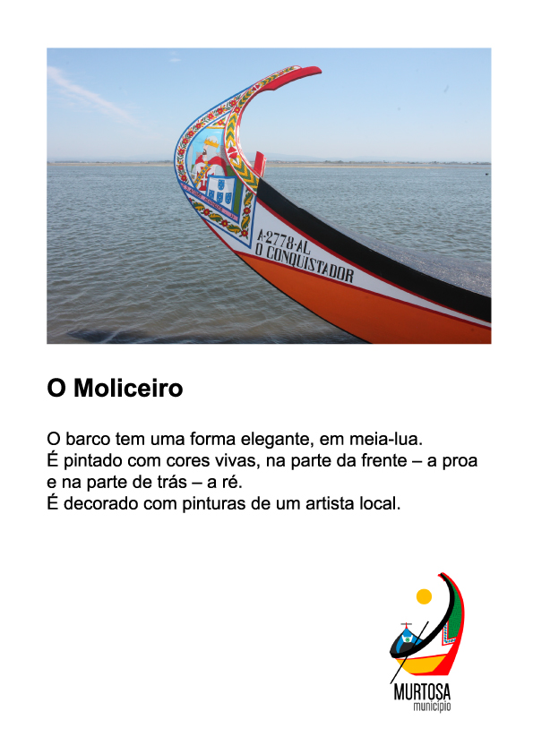placa-murtosa