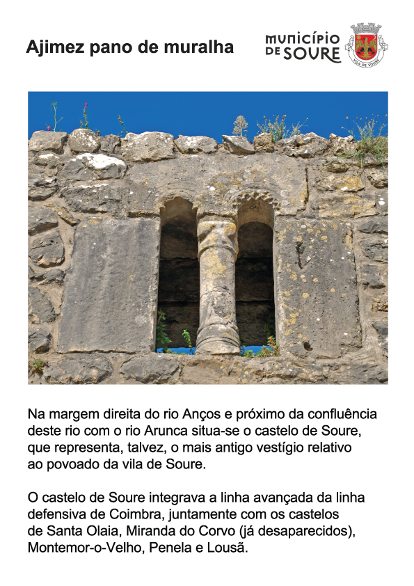 placa-soure